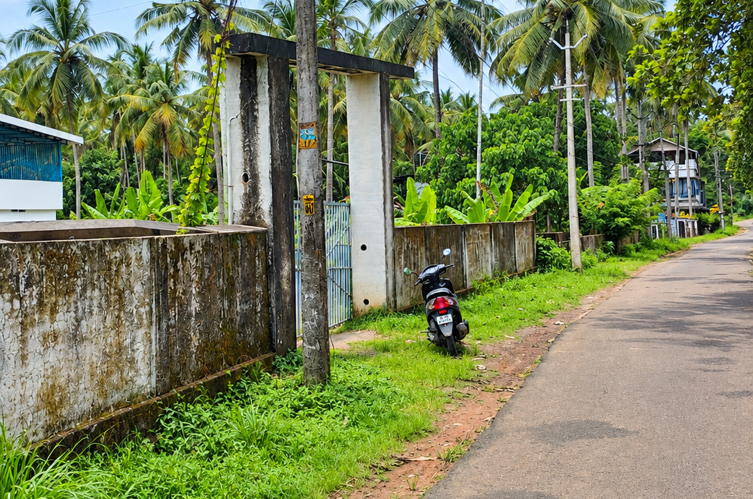 Tropical Village Road with Scooter and Palms