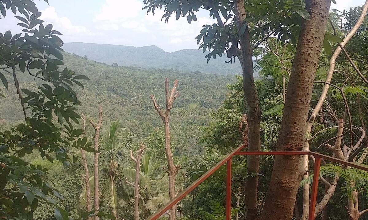 WhatsApp Image 2026-10-01 at 2.54.36 PM (2)