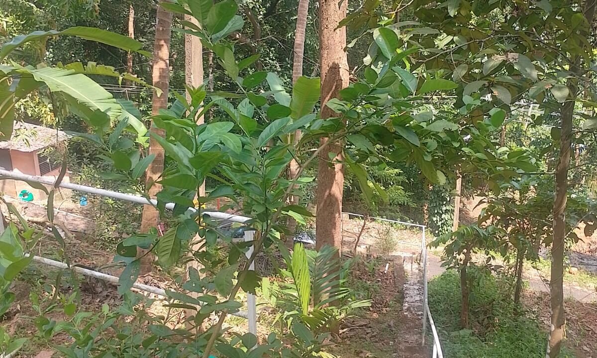 WhatsApp Image 2026-10-01 at 2.54.38 PM (1)