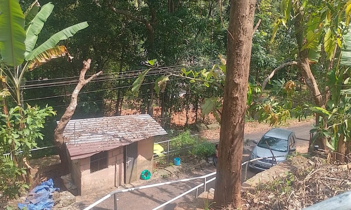 WhatsApp Image 2026-10-01 at 2.54.42 PM