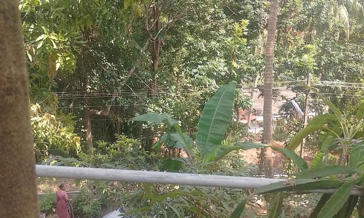 WhatsApp Image 2026-10-01 at 2.54.45 PM