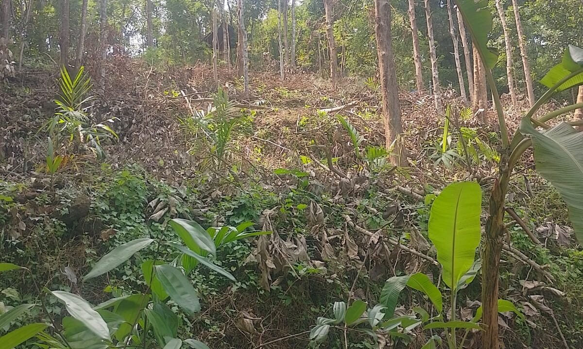 WhatsApp Image 2026-10-01 at 2.54.47 PM (1)