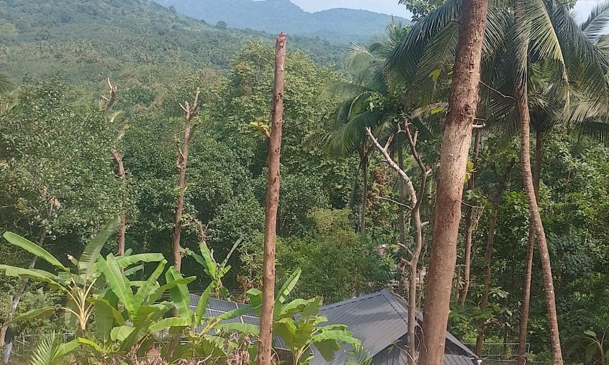 WhatsApp Image 2026-10-01 at 2.54.47 PM