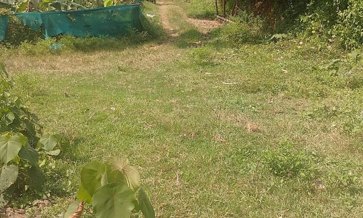 WhatsApp Image 2026-10-01 at 2.54.50 PM (1)