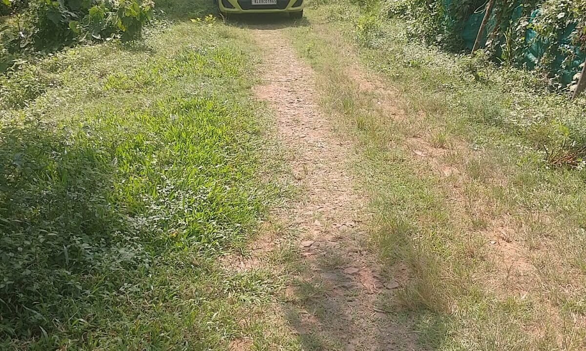 WhatsApp Image 2026-10-01 at 2.54.50 PM