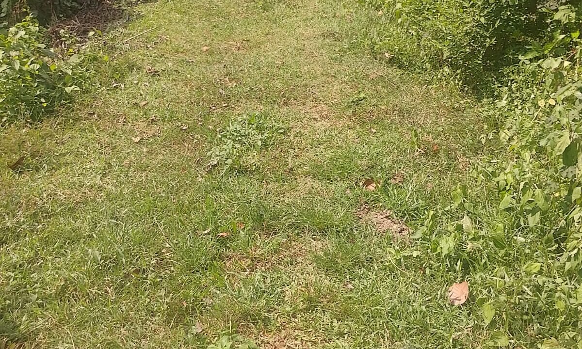 WhatsApp Image 2026-10-01 at 2.54.51 PM (1)