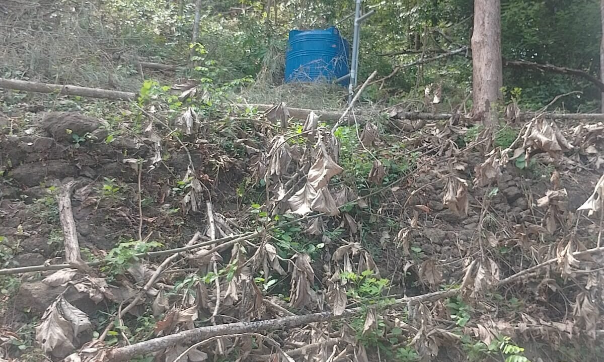 WhatsApp Image 2026-10-01 at 2.54.52 PM (1)