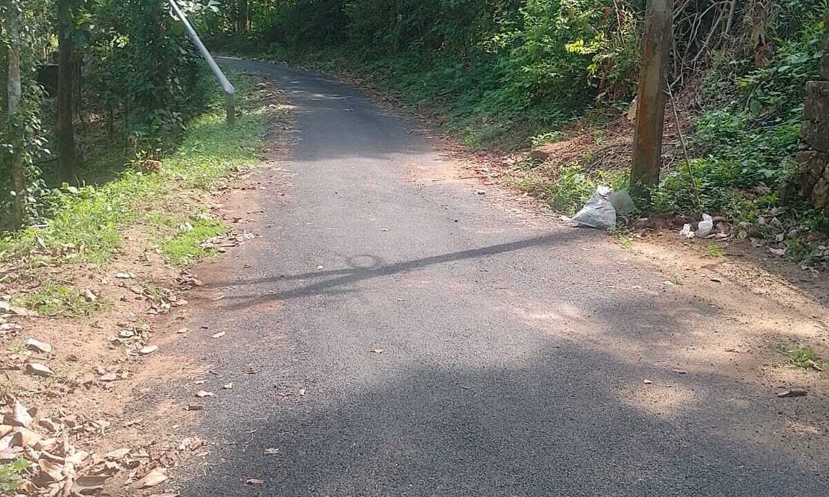 WhatsApp Image 2026-10-01 at 2.54.52 PM