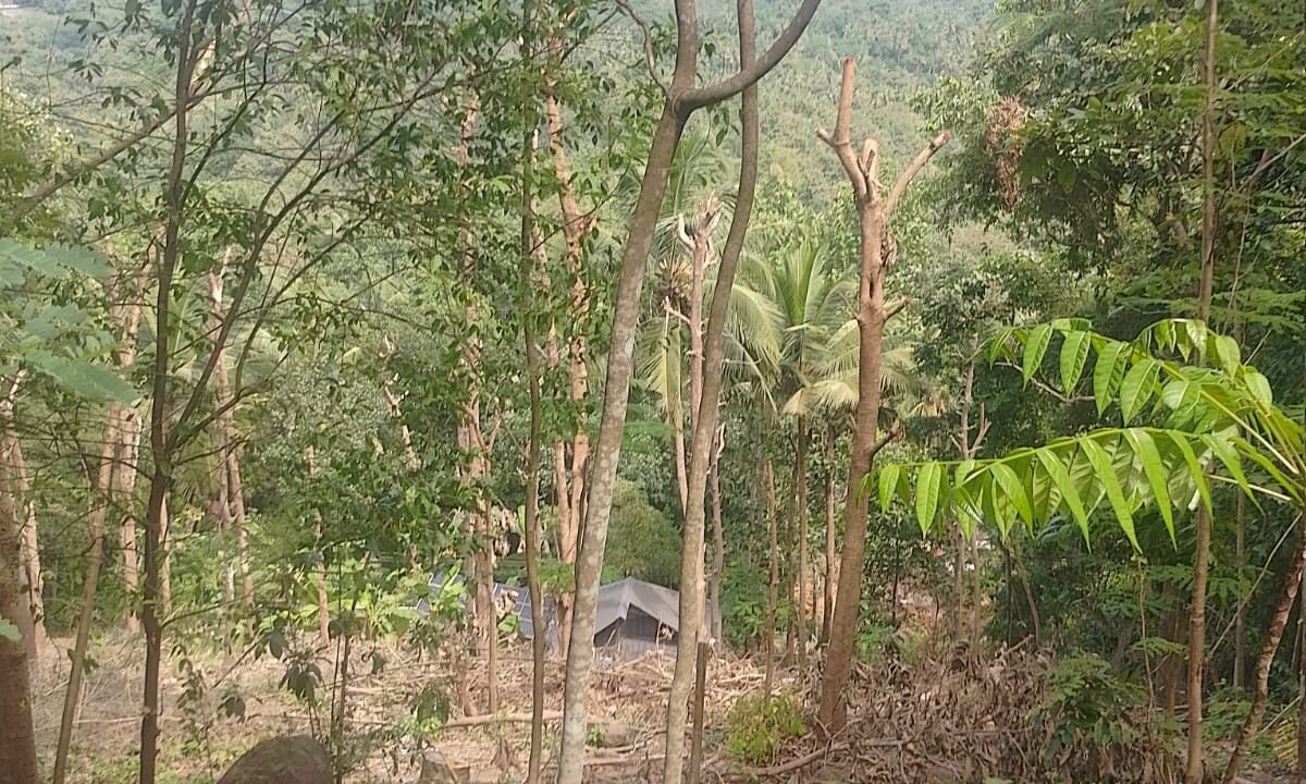 WhatsApp Image 2026-10-01 at 2.54.53 PM (1)