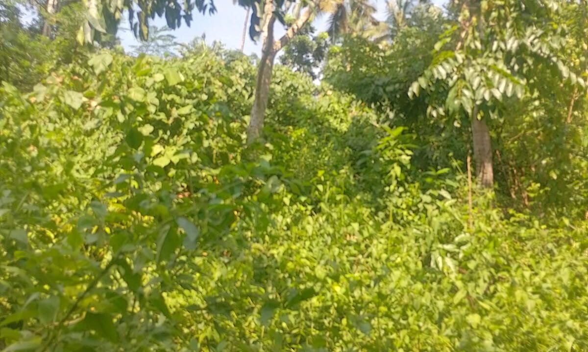 WhatsApp Image 2026-10-01 at 2.54.54 PM (1)