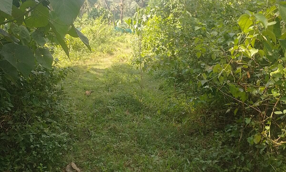 WhatsApp Image 2026-10-01 at 2.54.54 PM