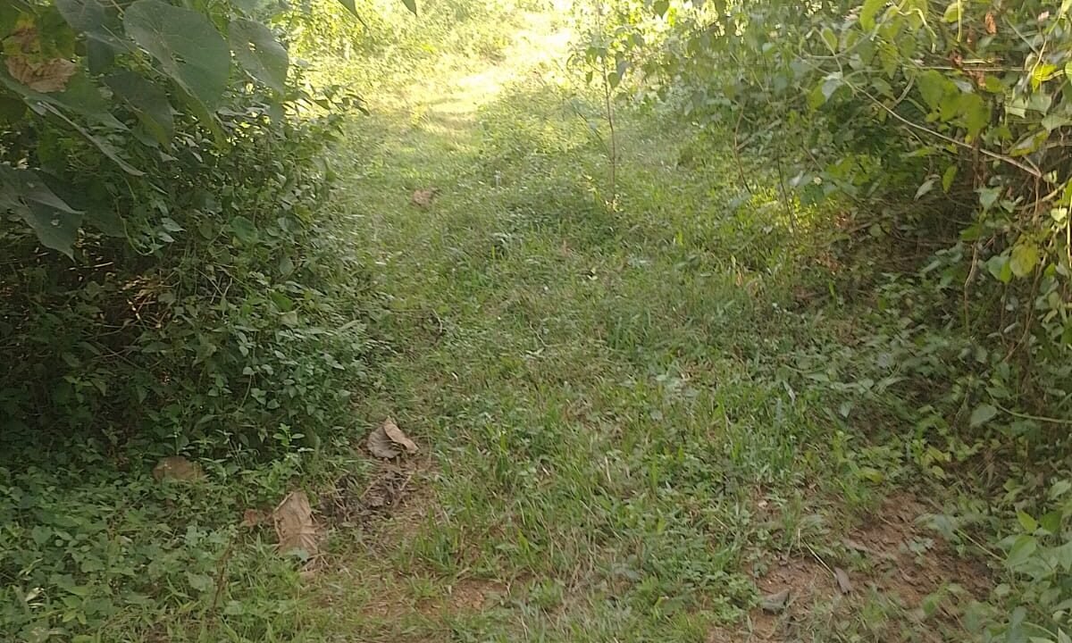 WhatsApp Image 2026-10-01 at 2.54.54 PM (2)