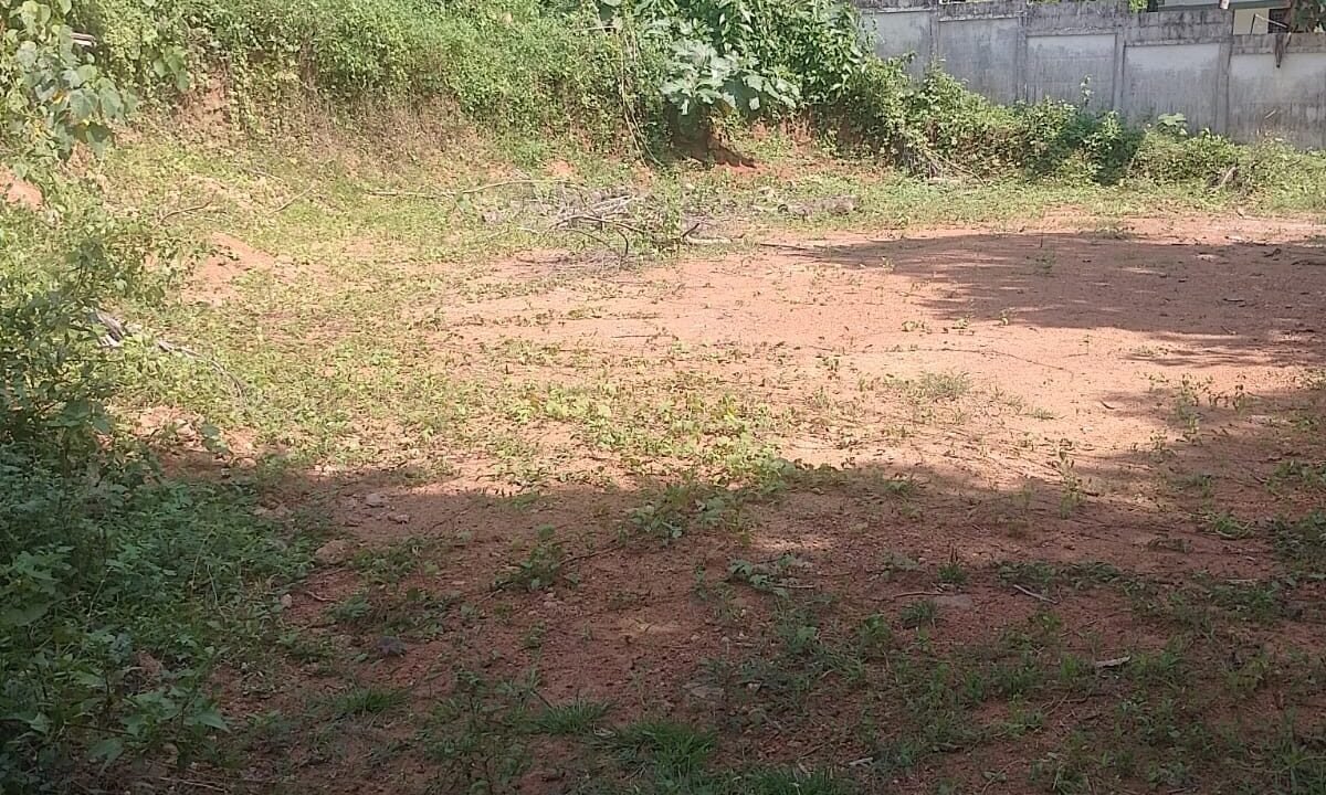 WhatsApp Image 2026-10-01 at 2.54.55 PM