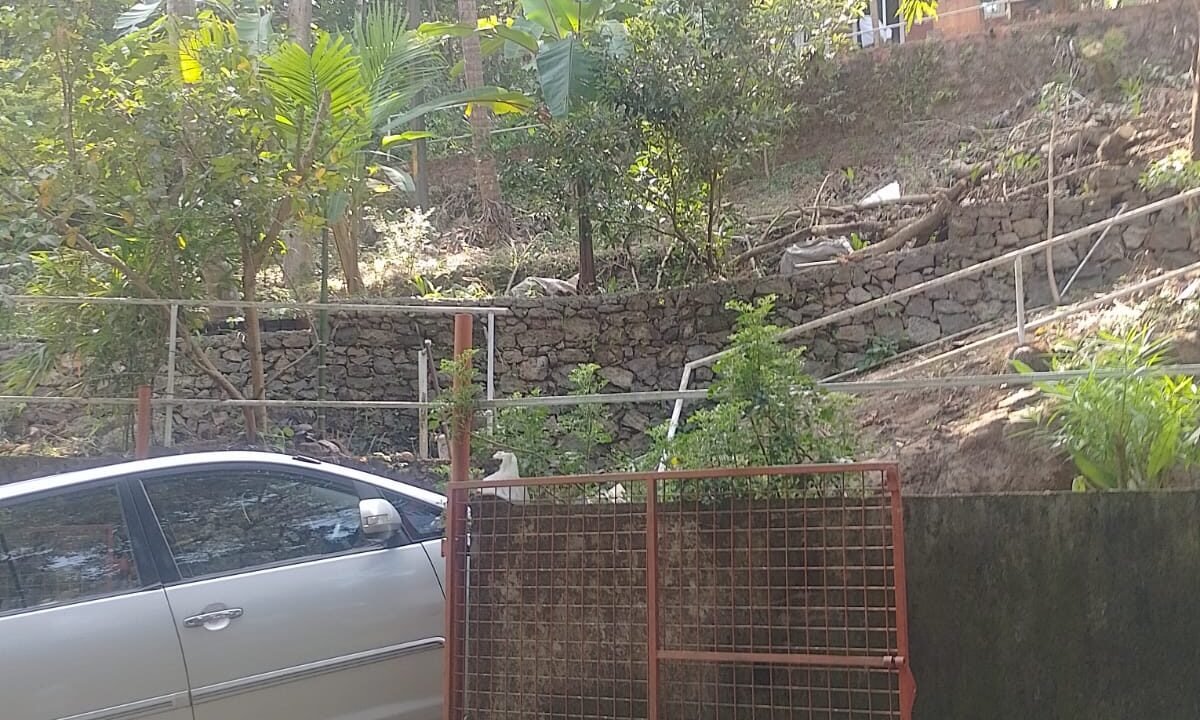 WhatsApp Image 2026-10-01 at 2.54.56 PM (1)