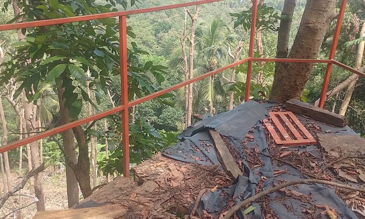 WhatsApp Image 2026-10-01 at 2.54.56 PM