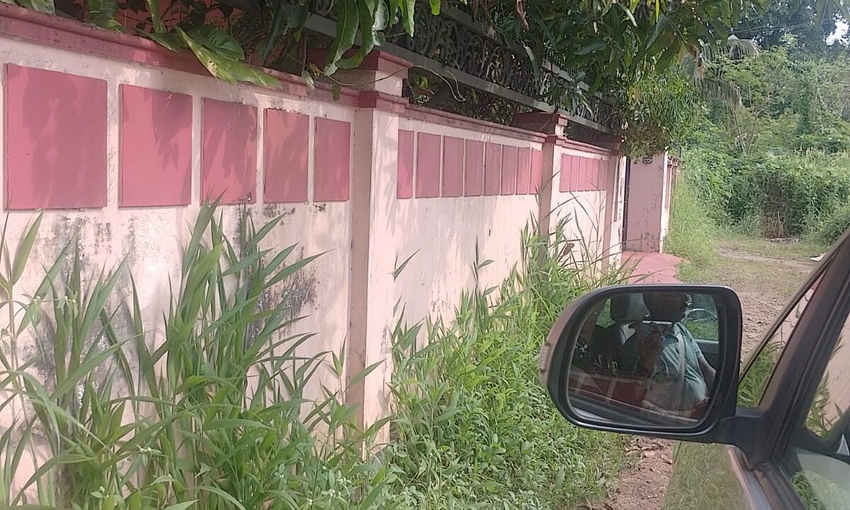 WhatsApp Image 2026-10-01 at 3.20.29 PM