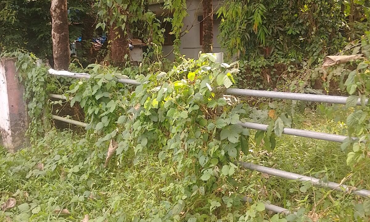 WhatsApp Image 2026-10-01 at 3.30.59 PM (1)