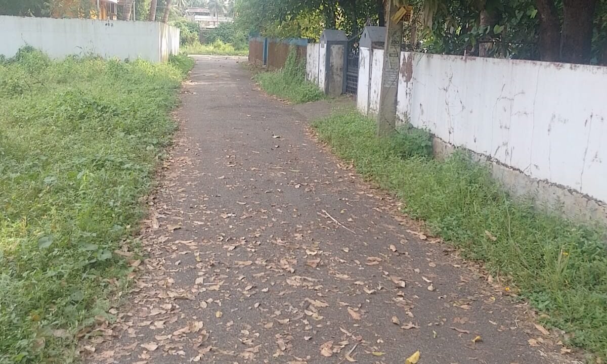 WhatsApp Image 2026-10-01 at 3.30.59 PM (2)