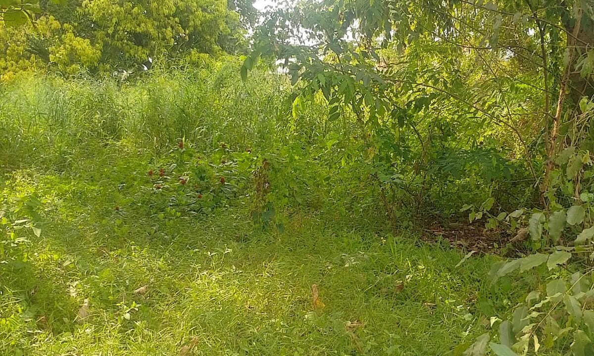 WhatsApp Image 2026-10-01 at 3.31.00 PM (2)