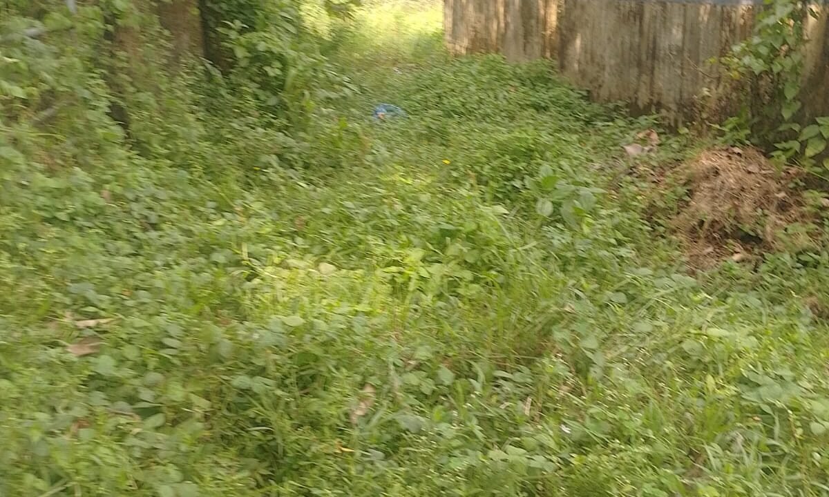 WhatsApp Image 2026-10-01 at 3.31.01 PM (1)