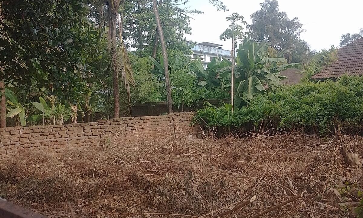 WhatsApp Image 2026-10-01 at 3.50.02 PM (2)