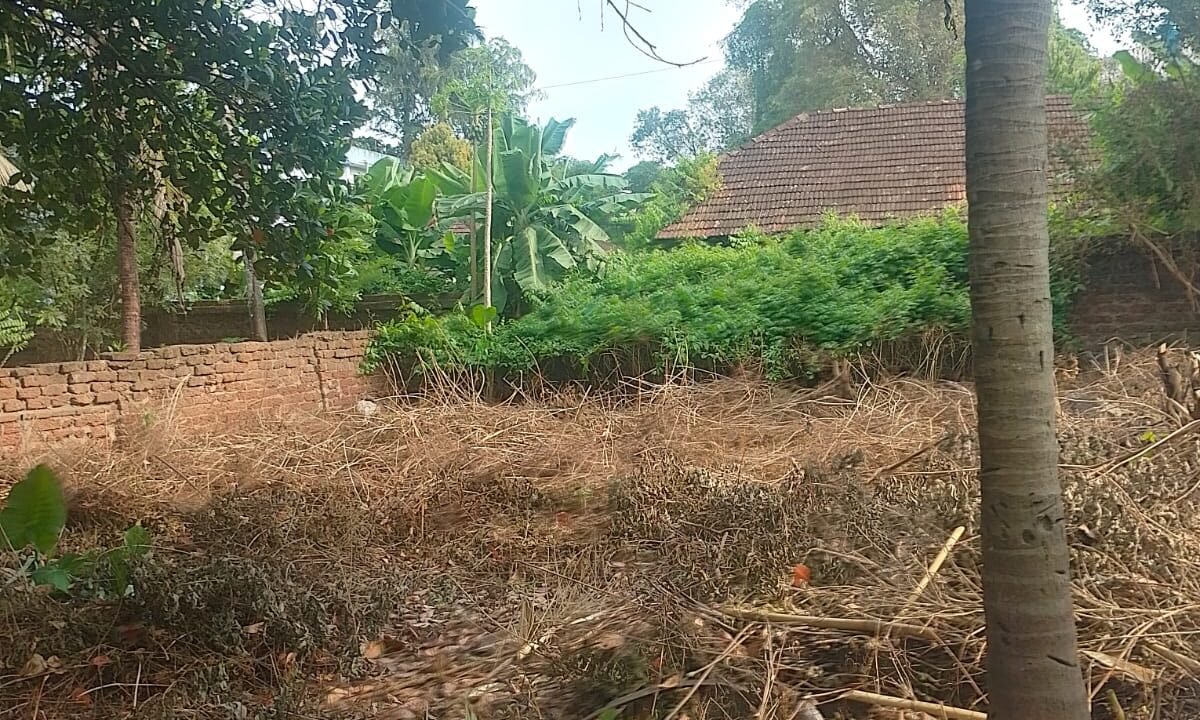 WhatsApp Image 2026-10-01 at 3.50.03 PM