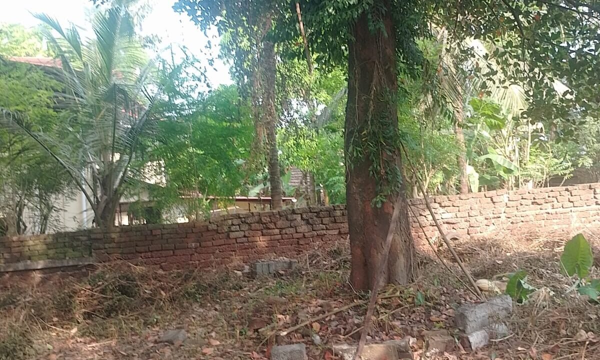 WhatsApp Image 2026-10-01 at 3.50.04 PM
