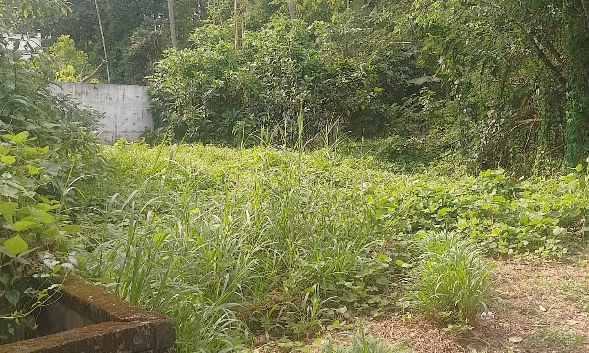 WhatsApp Image 2026-10-01 at 3.50.05 PM (1)