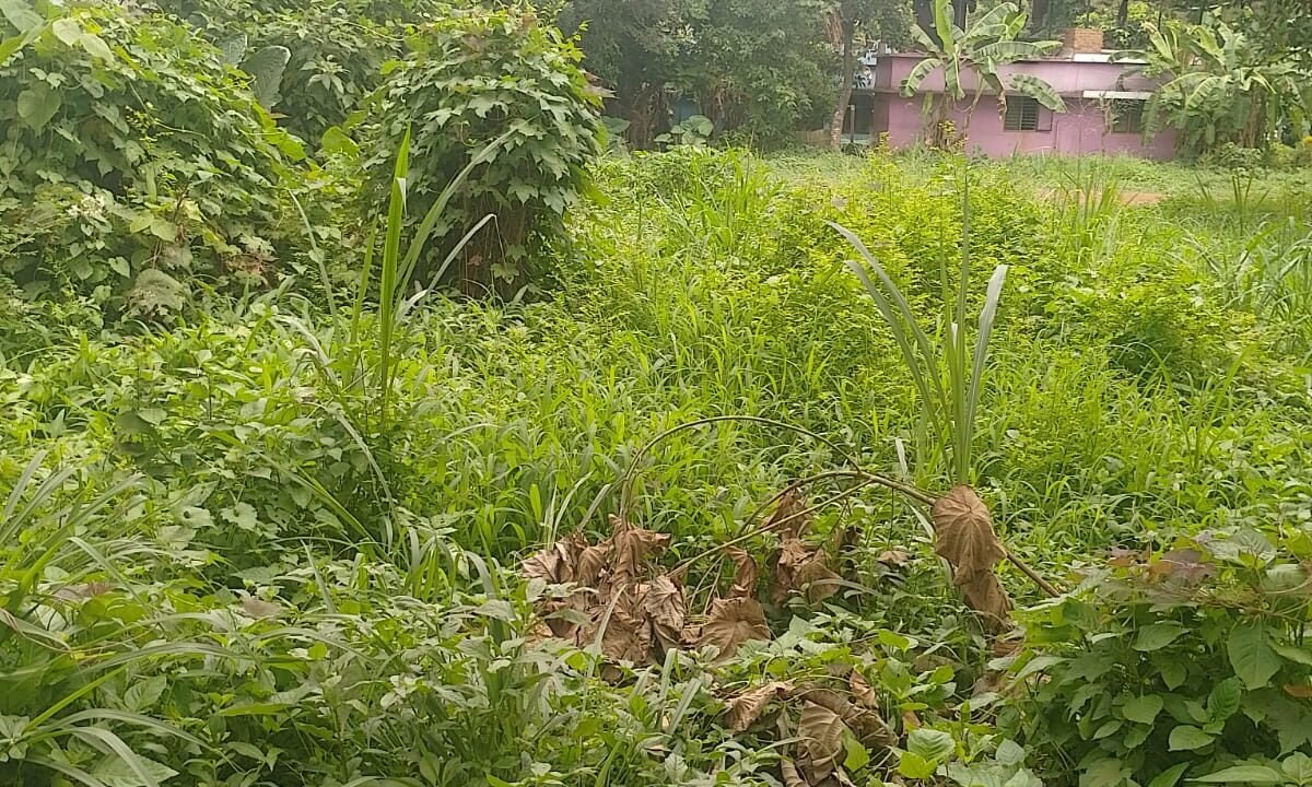 WhatsApp Image 2026-10-10 at 3.52.32 PM