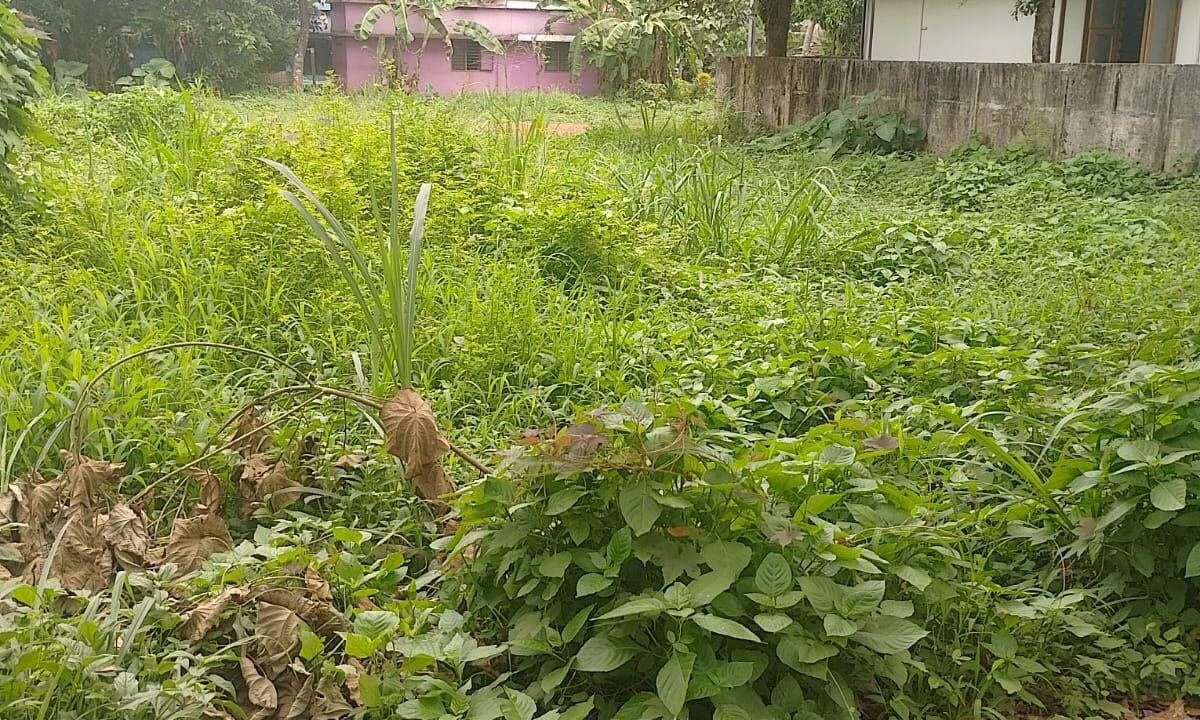 WhatsApp Image 2026-10-10 at 3.52.37 PM (1)