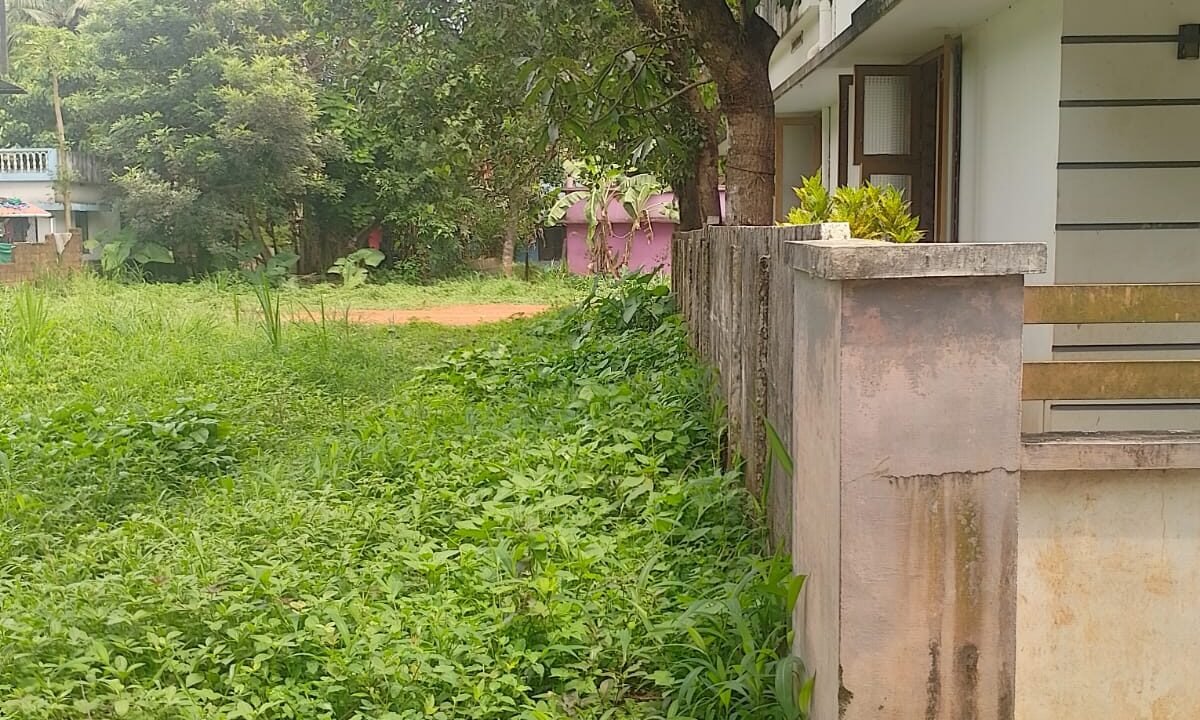 WhatsApp Image 2026-10-10 at 3.52.38 PM