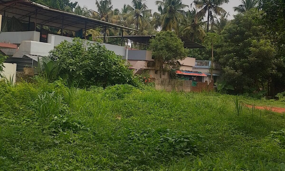 WhatsApp Image 2026-10-10 at 3.52.39 PM (1)