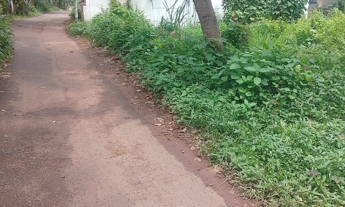 WhatsApp Image 2026-10-10 at 3.52.39 PM