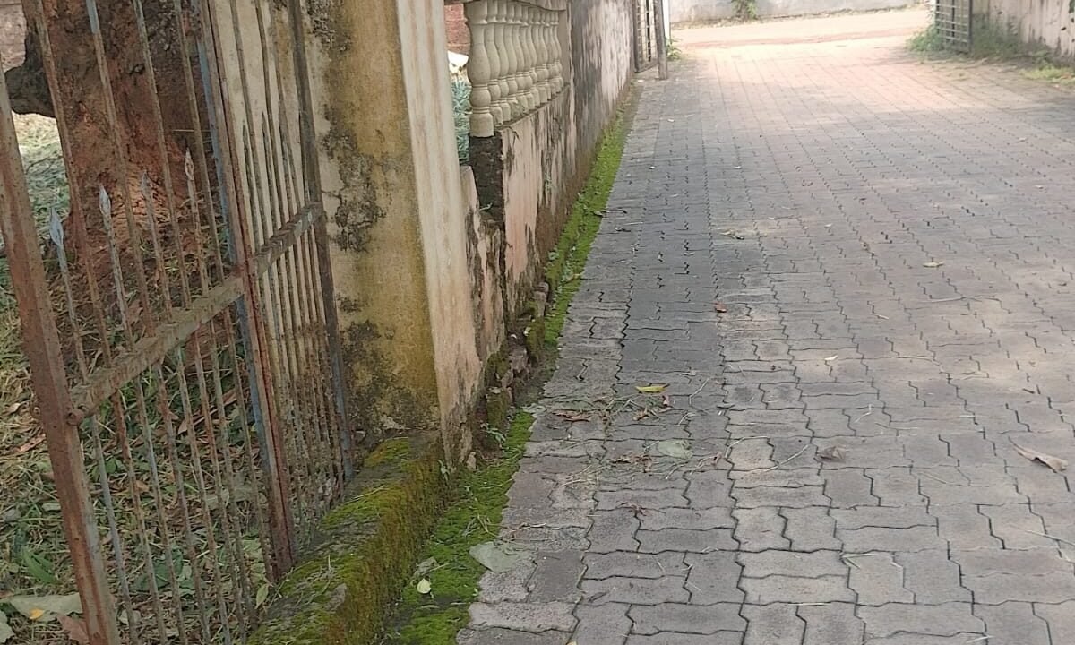 WhatsApp Image 2026-10-11 at 1.08.22 PM (1)