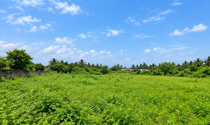 land_view_2_east