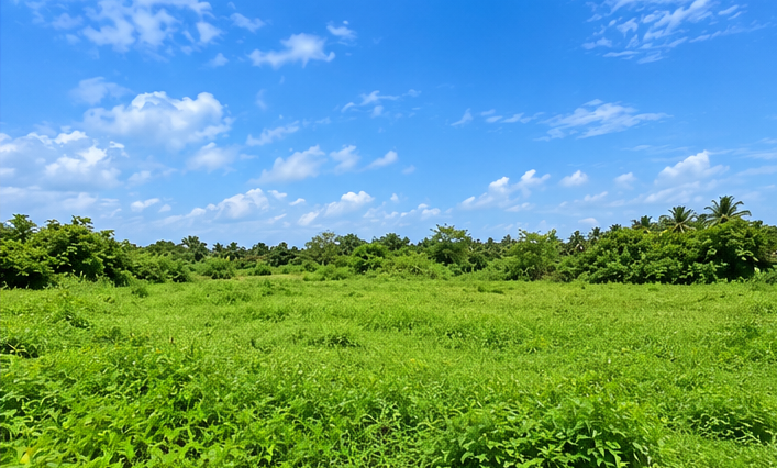 land_view_4_west